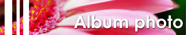 banner_albumphoto2