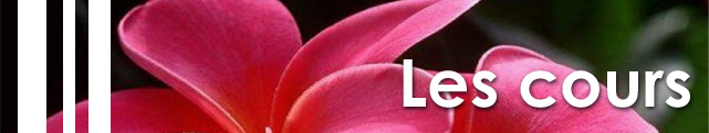 banner_lescours