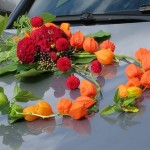Décoration de voiture