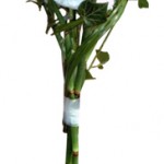 Bouquet de mariée