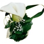 Boutonnière pour marié